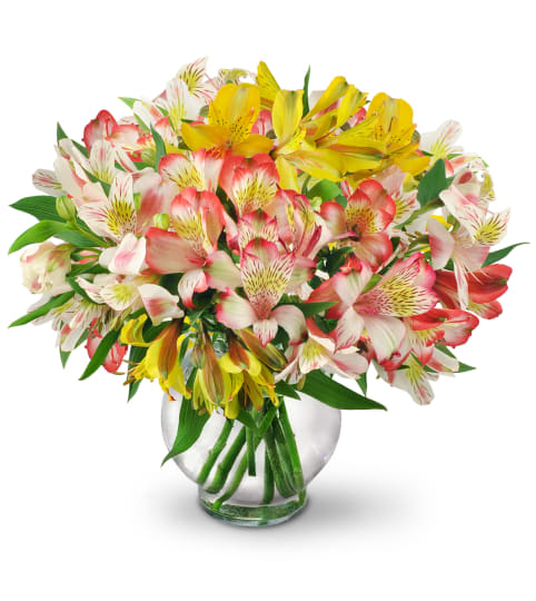 Perfect Peruvian Lilies Floral Arrangement