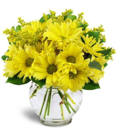 Daisy Dreams™ Floral Arrangement